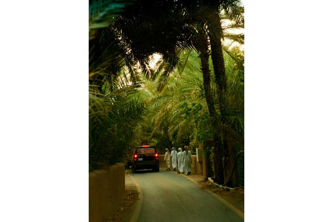 Al Khadra area in Mahda