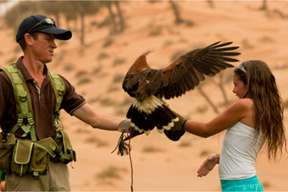Falconry show at Banyan Tree Al Wadi