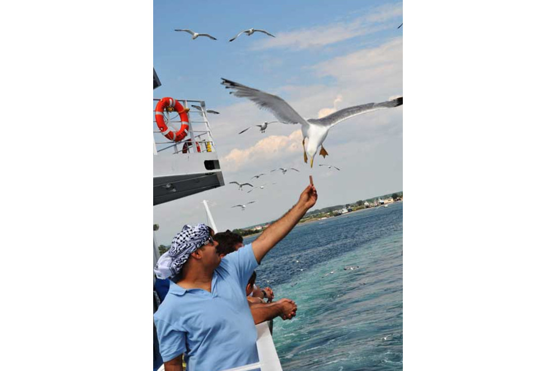 Greece: Feeding seagulls