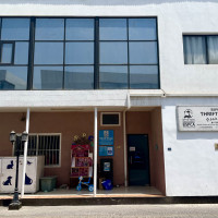 An expat\'s complete guide to Bahrain