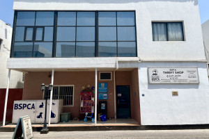 Bahrain Society for the Prevention of Cruelty to Animals