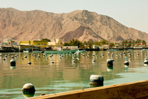RAK pearl farm