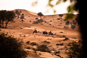 Camel Ride at Banyan Tree Al Wadi