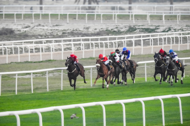 Kingdom of the horse